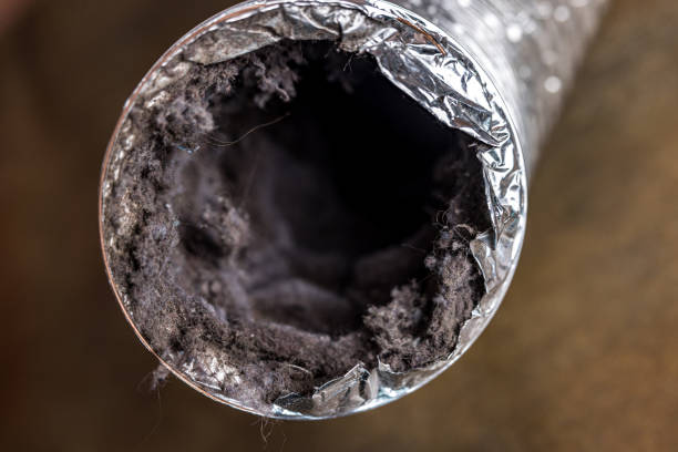 Best HVAC System Cleaning  in Hobart, WA